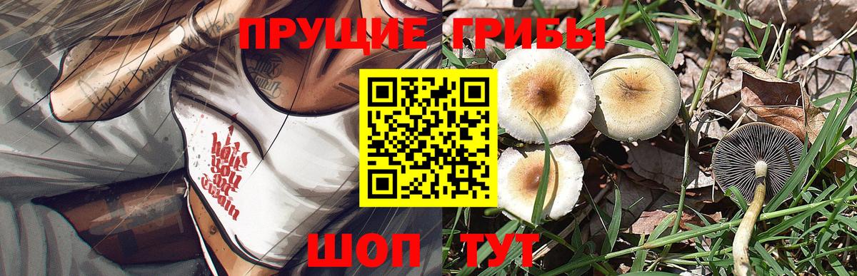 Псилоцибиновые грибы мухоморы  Вход с VPN  Галлюциногенные грибы Magic Shrooms  Саранск 